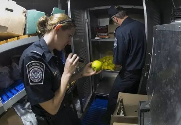 1699863451765756.png image.png