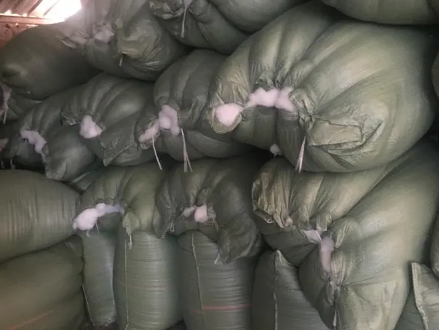 1701744528759770.png 1701744528759770.png