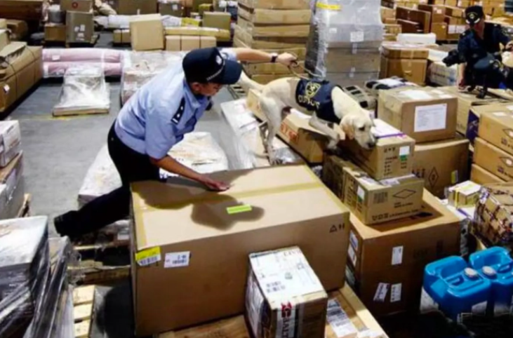 1705567589683109.png 1705567589683109.png