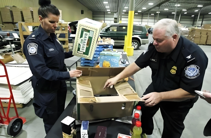 1713941476557643.png image.png