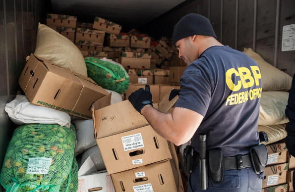 1723883043165068.png image.png