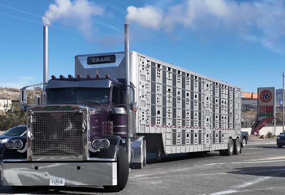 1739525966555221.png 1739525966555221.png