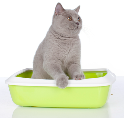 1744189036774655.png image.png