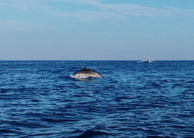 1758594459423679.png 1758594459423679.png